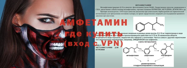 сатива Алексеевка