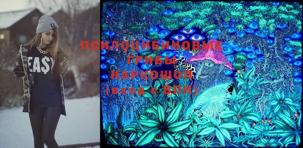 Альфа ПВП Алзамай