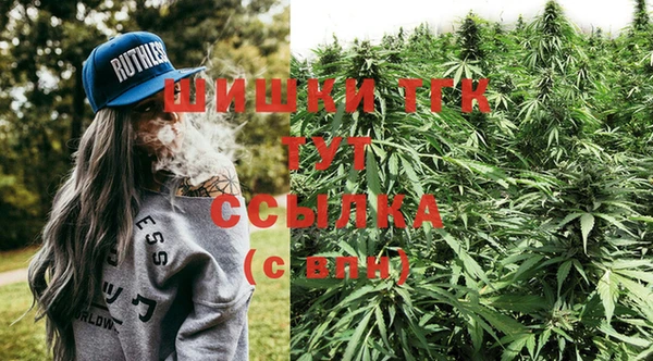 Альфа ПВП Алзамай
