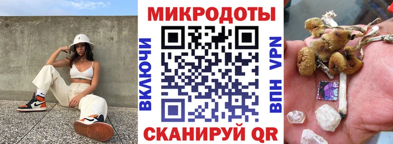 Галлюциногенные грибы Cubensis  omg вход  Алексеевка 
